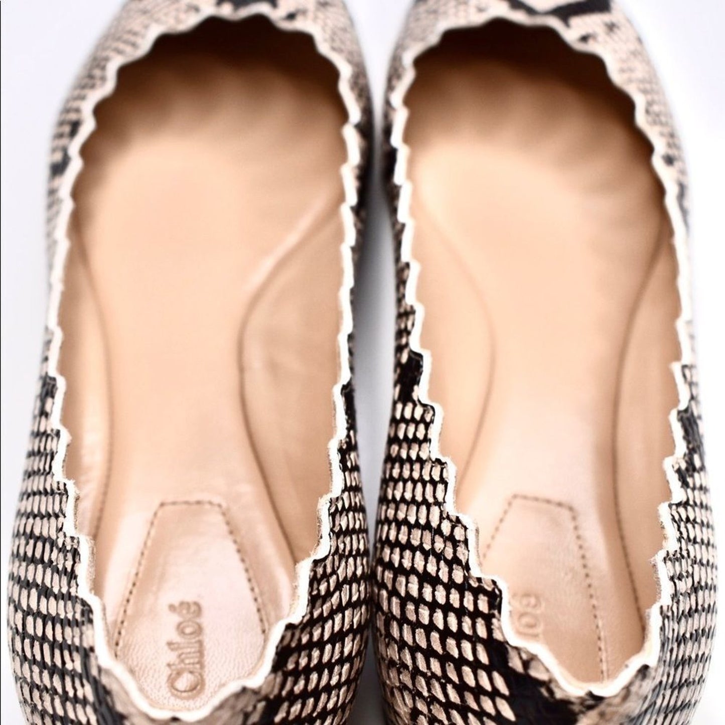 Chloe Scalloped Python Leather Lauren Ballet Flat Size 35.5 US SIZE 5.5