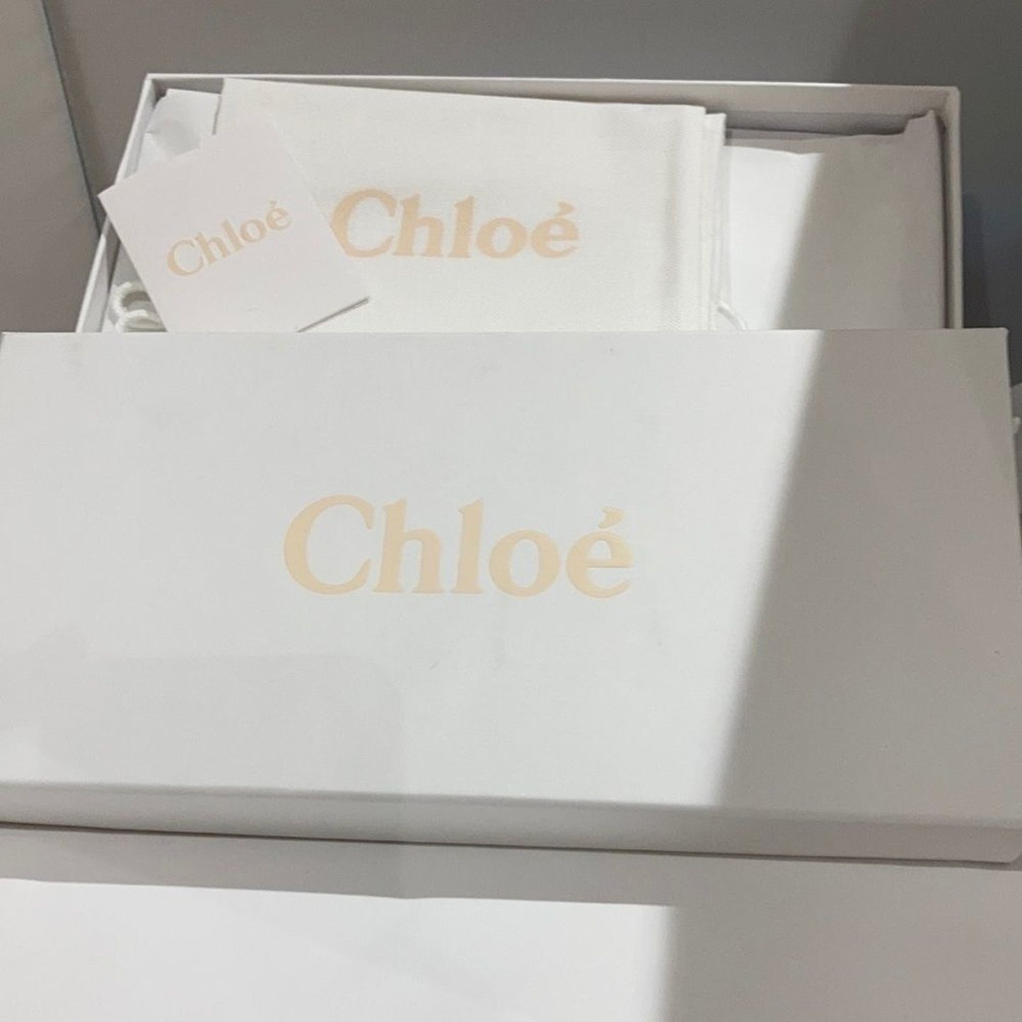 Chloe Scalloped Python Leather Lauren Ballet Flat Size 35.5 US SIZE 5.5